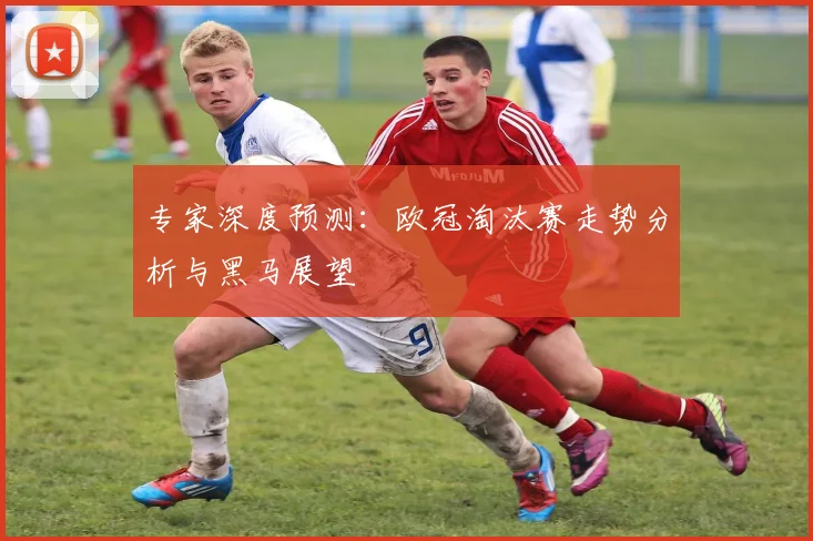 专家深度预测：欧冠淘汰赛走势分析与黑马展望